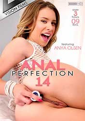 Анальное Совершенство 14 | Anal Perfection 14 (2022) HD 720p